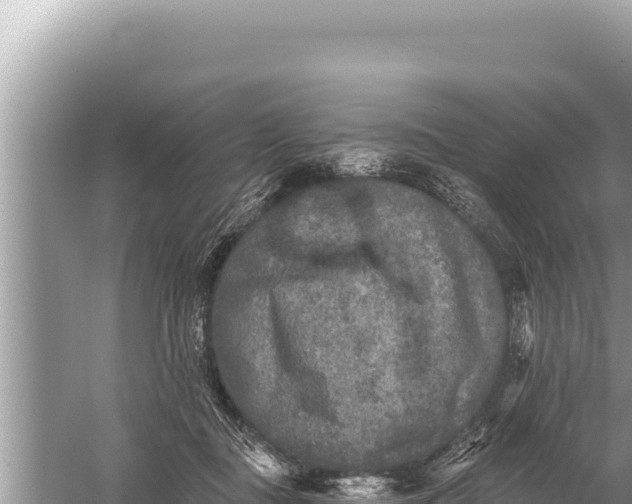 X0000059040363200510211940