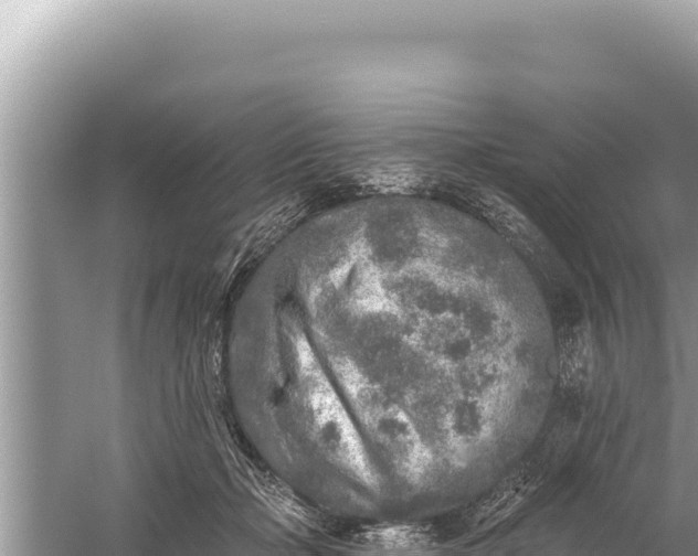 X0000059040365200510211940