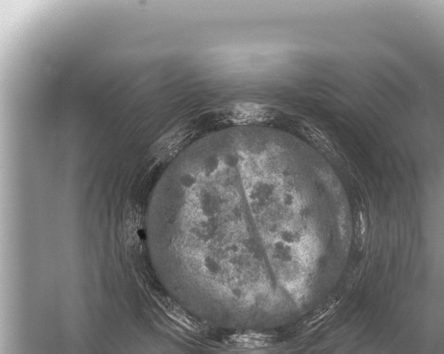 X0000059040367200510211940