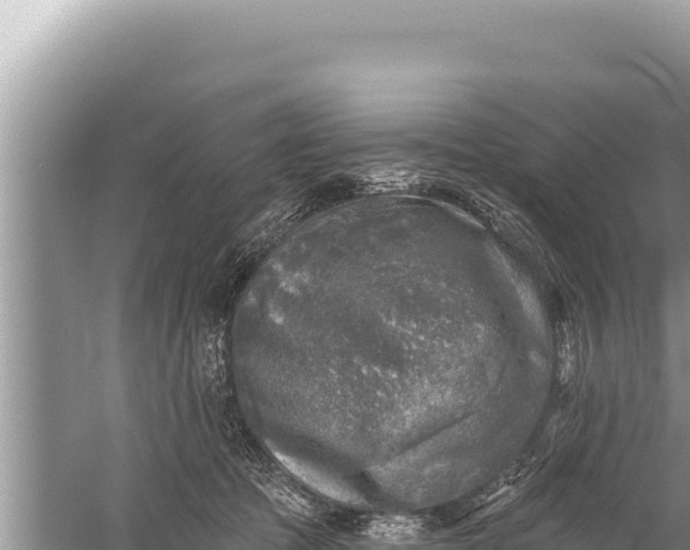 X0000059040369200510211940