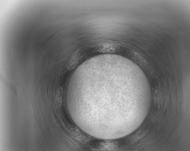 X0000059040370200510211940