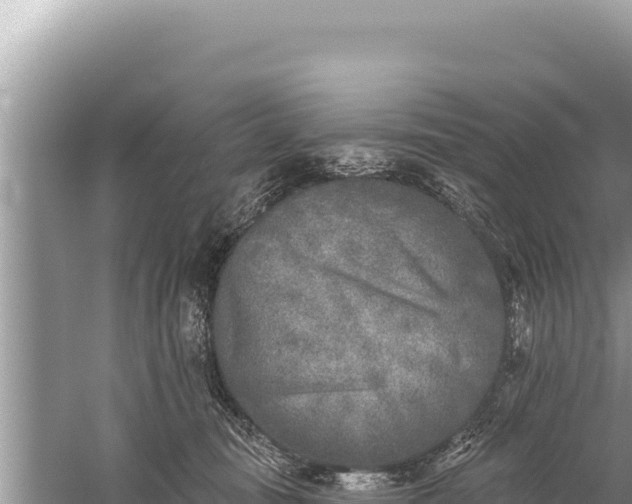 X0000059040371200510211940