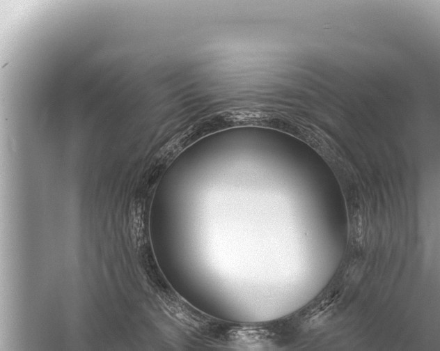 X0000059040372200510211940