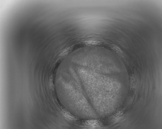 X0000059040377200510211940