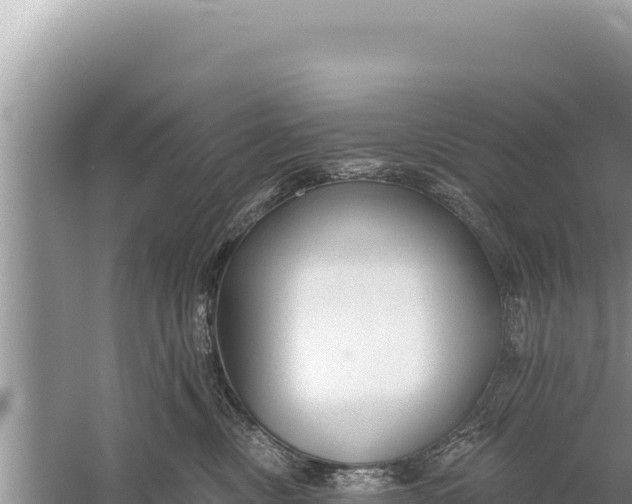 X0000059040378200510211940