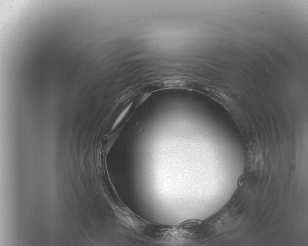 X0000059040379200510211940