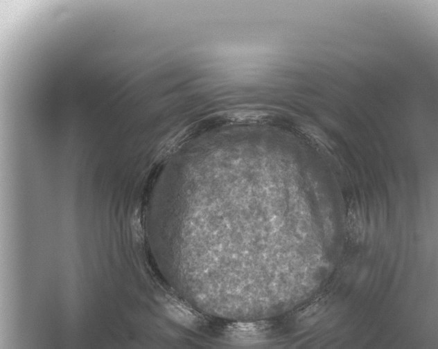 X0000059040381200510211940