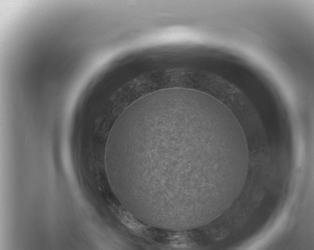 X0000059040382200510211940