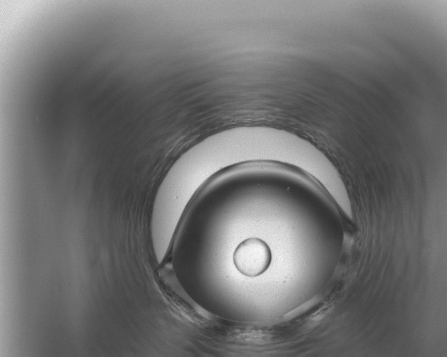 X0000059040383200510211940