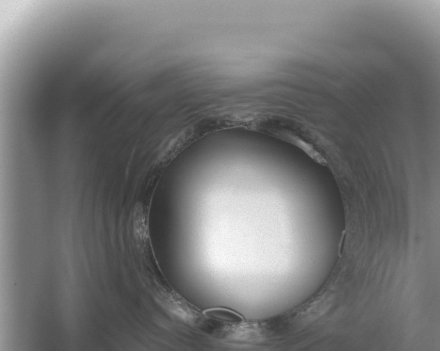 X0000059040384200510211940