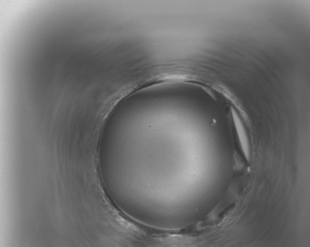 X0000059040385200510211939