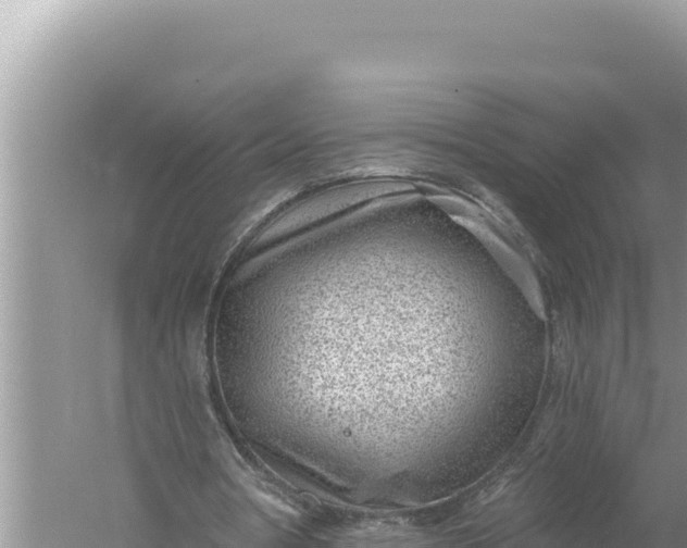 X0000059040386200510211939