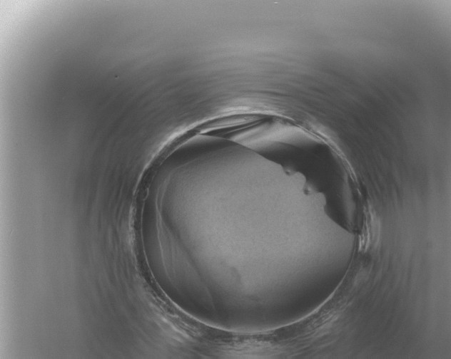 X0000059040387200510211939