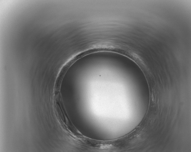 X0000059040388200510211939