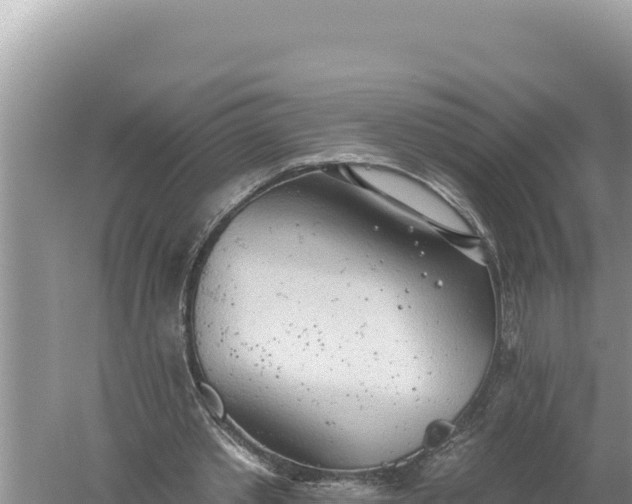 X0000059040389200510211939