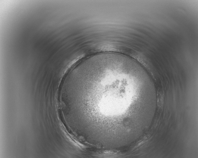 X0000059040390200510211939