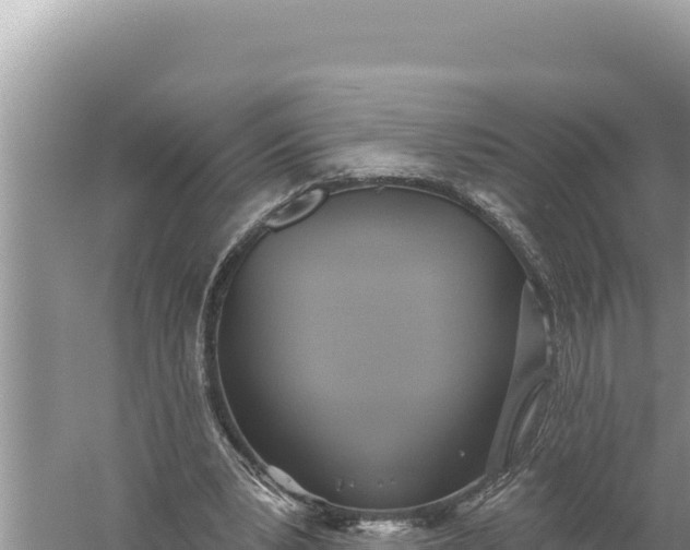 X0000059040391200510211939