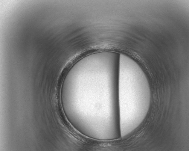 X0000059040392200510211939