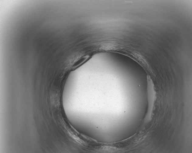 X0000059040393200510211939