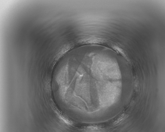 X0000059040394200510211939