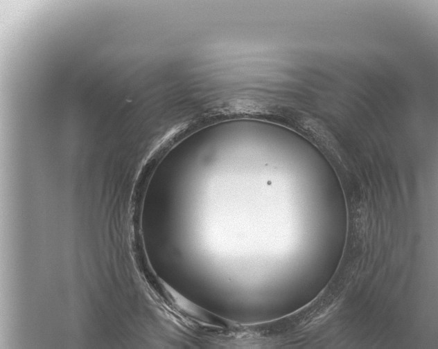 X0000059040395200510211939