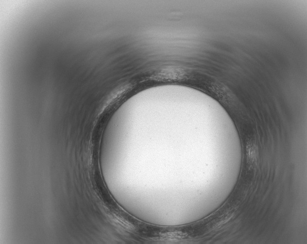 X0000059040396200510211939