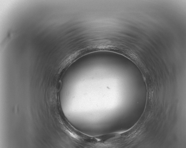 X0000059040397200510211939