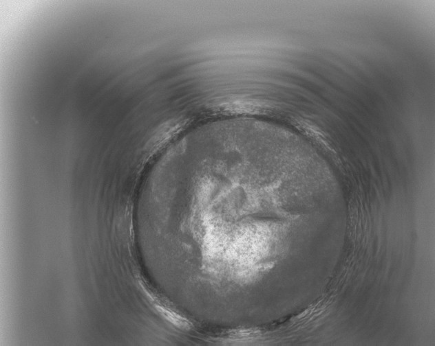 X0000059040398200510211939