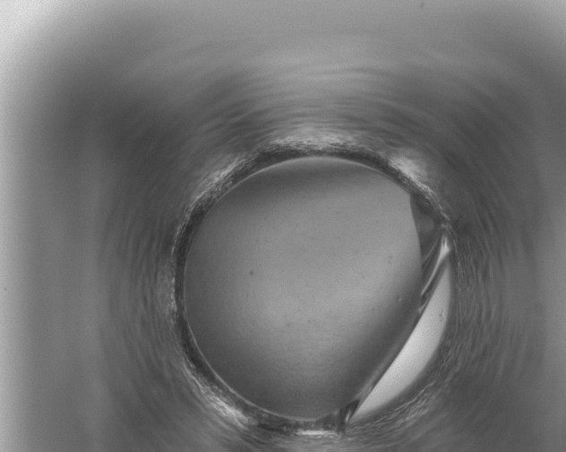 X0000059040399200510211939