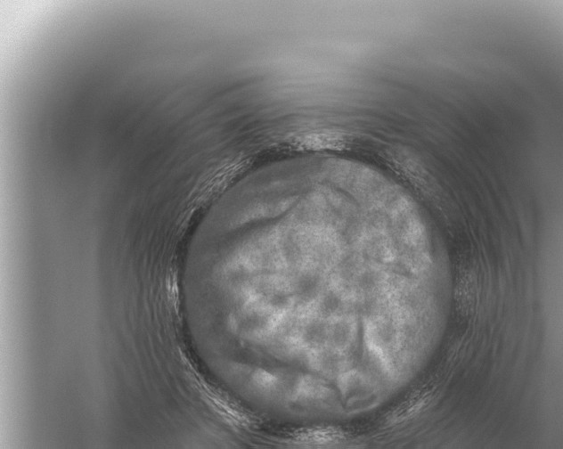 X0000059040402200510211939