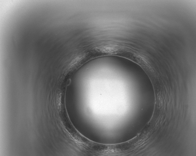 X0000059040404200510211939