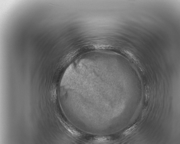 X0000059040405200510211939