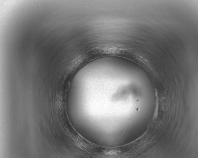 X0000059040407200510211939