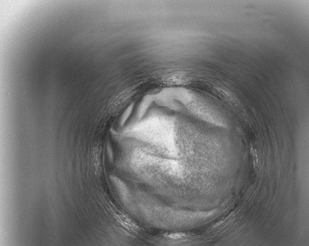 X0000059040409200510211939