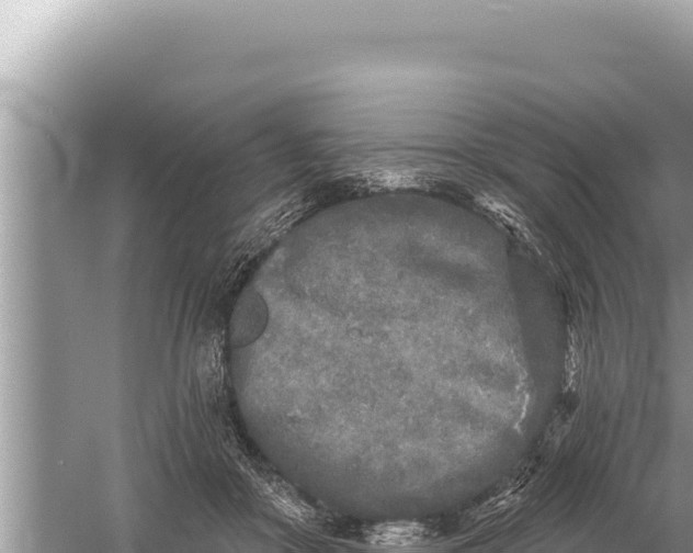 X0000059040410200510211939