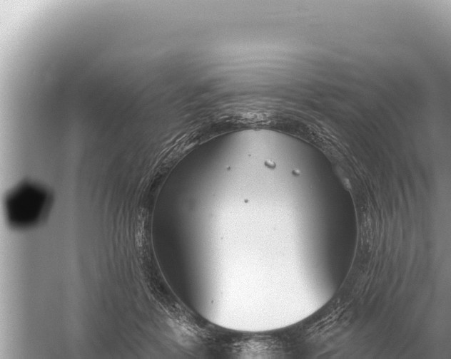 X0000059040412200510211939