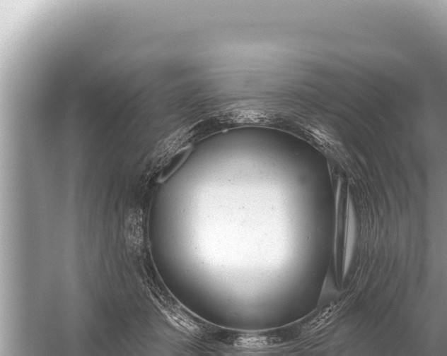 X0000059040413200510211939