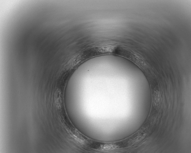 X0000059040414200510211939