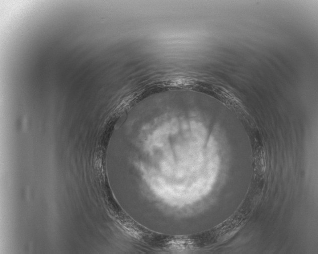 X0000059040415200510211939