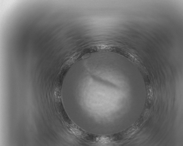 X0000059040419200510211939