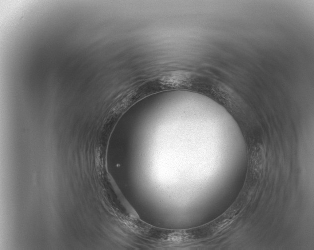 X0000059040420200510211939