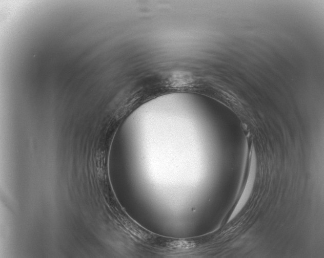 X0000059040421200510211939