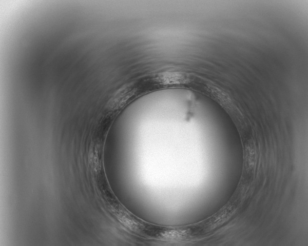 X0000059040422200510211939