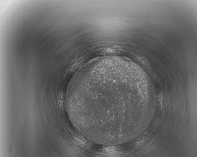 X0000059040423200510211939