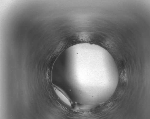 X0000059040424200510211939