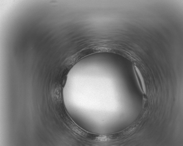 X0000059040425200510211939