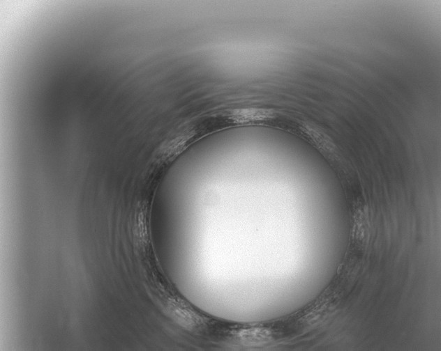 X0000059040426200510211939