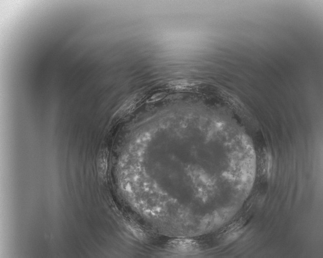 X0000059040427200510211939