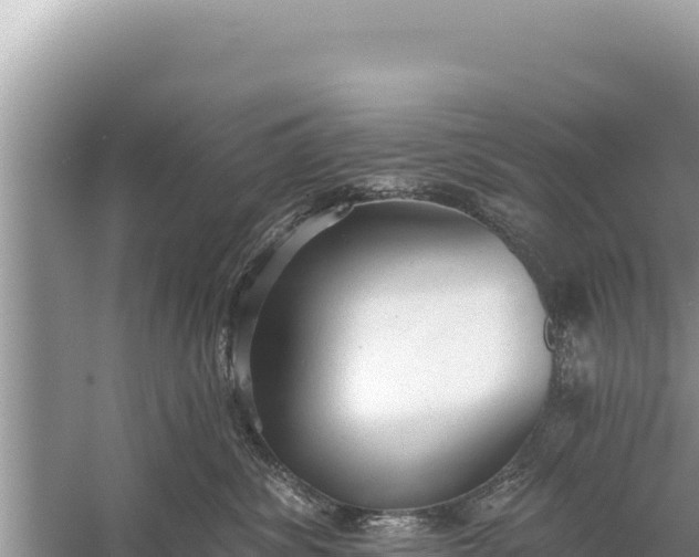 X0000059040428200510211939