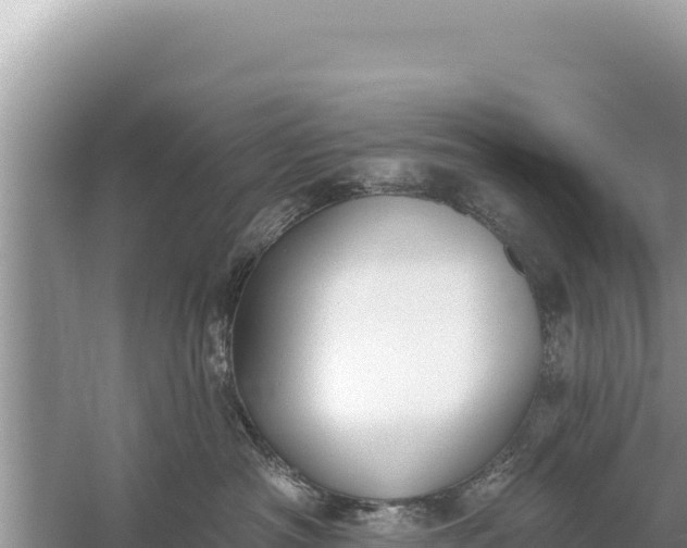 X0000059040430200510211939